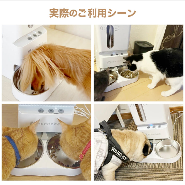 MORANA 2タイプオートフィーダー -2種類のゴハンが出せる自動給餌器-